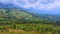 Biking, Munnar, Thekkady